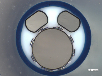 Shaft with an Oval-Shaped Lumen