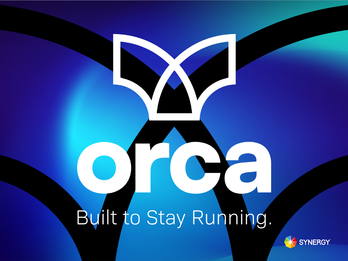Introducing ORCA, a Groundbreaking Resilient WMS from Synergy