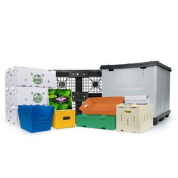 Inteplast SP&PS