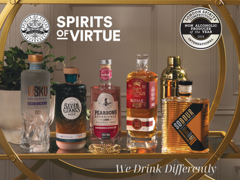 Stand Alone Brands by Spirits of Virtue - Hero Bottles