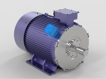 Permanent Magnet Synchronous Motor (PMSM)