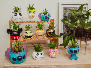 Disney Licensed Planters with Artifical Succulents
