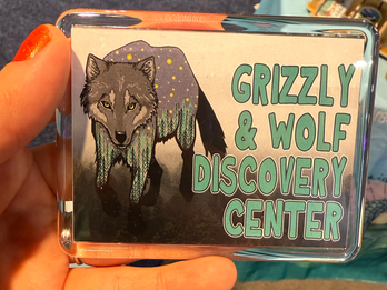 Acrylic Magnet