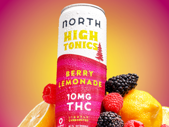 High Tonics - Berry Lemonade THC Seltzer