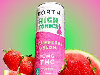 High Tonics - Strawberry Melon THC Seltzer