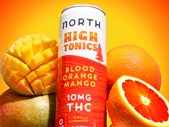 High Tonics - Blood Orange Mango THC Seltzer