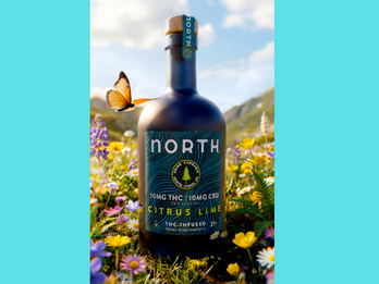 North Canna HIGH SPIRIT CITRUS LIME 750ML