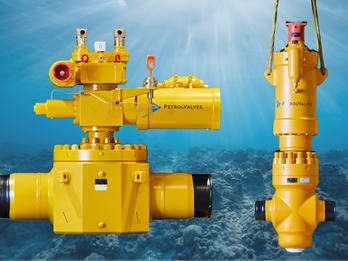 Petrolvalves Actuated Subsea Ball and Gate Valves