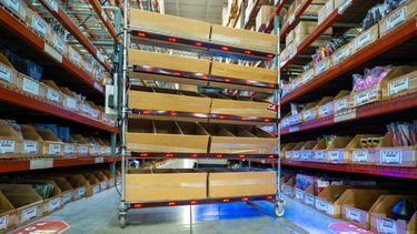 Batch Picking Cart