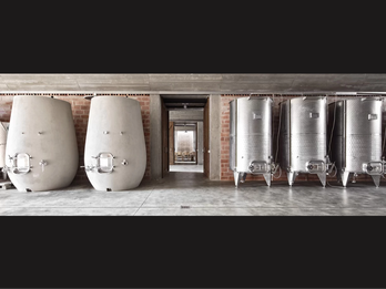 Winery Drainage Solutions for All Areas