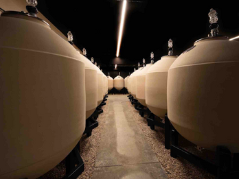 Clayver Amphora