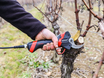 INFACO F3020 — The Next Generation in Electric Pruning