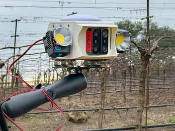 Vineyard Robotics AI camera platform in the vineyard