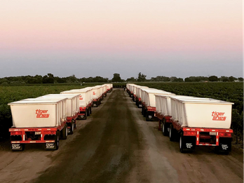 Where the Harvest Begins