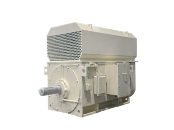 High-voltage High-efficiency Synchronous Motor