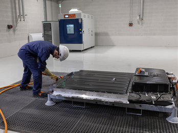 Safety Testing