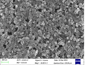 Nanofiber Coating Lithium-Ion Battery Separators