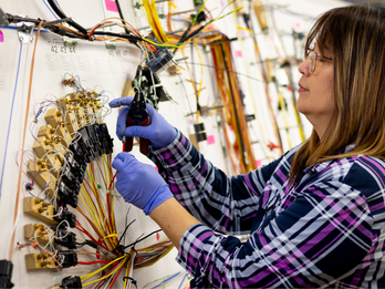Wire Harness Assembly - CANADA