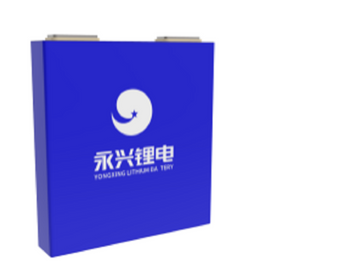 YSP 24Ah LTO Cell