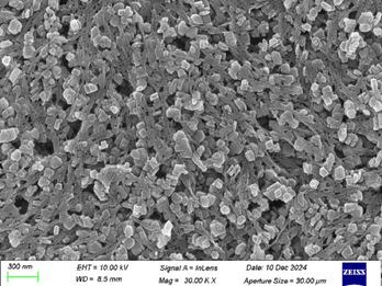 Nanofiber Coating Lithium-Ion Battery Separators
