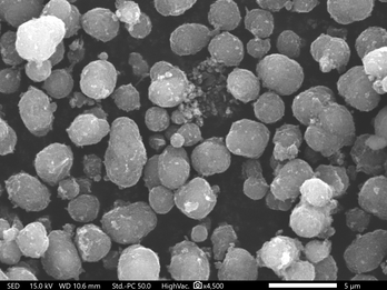 CarbonX SEM