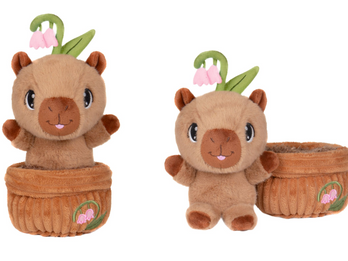 Root Cuties
